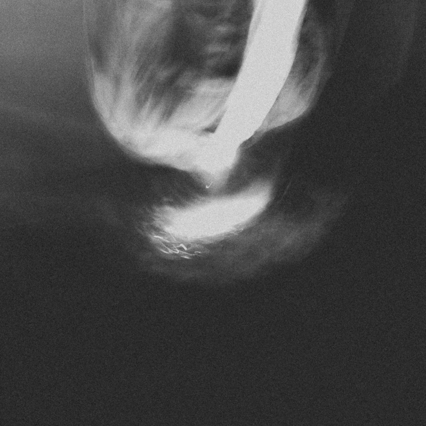 hauntd – maybe in another life