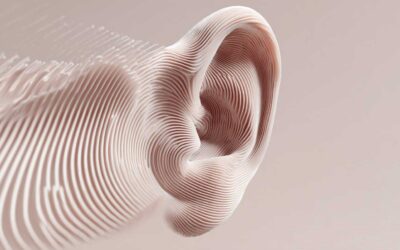 Human hearing pt 3